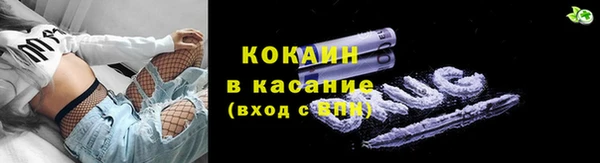 крисы Армянск