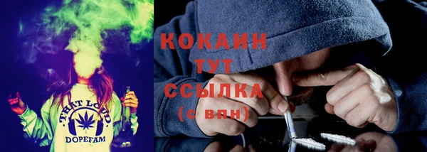 крисы Армянск