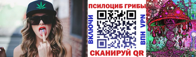Псилоцибиновые грибы Psilocybine cubensis  Мамоново 